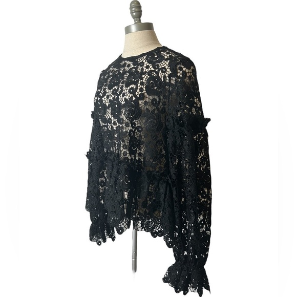 H&M Black Embroidered Lace Ruffle Long Balloon Sleeve Sheer Blouse Women Size 6 - Picture 5 of 16